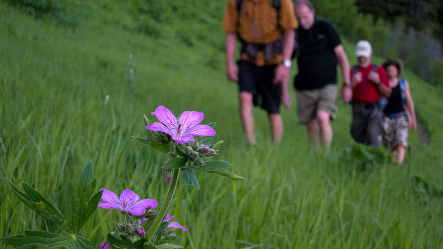 Hiking in Jackson Hole