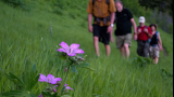 Hiking in Jackson Hole