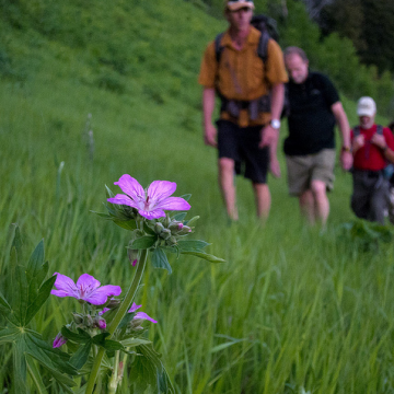 Hiking in Jackson Hole