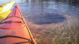 Guided Kayak & Canoe Tours