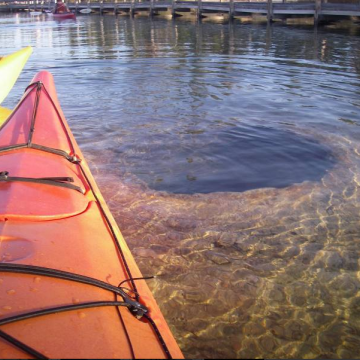 Guided Kayak & Canoe Tours