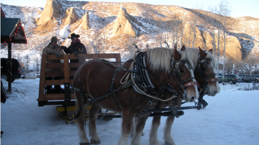 Dinner Sleigh Rides