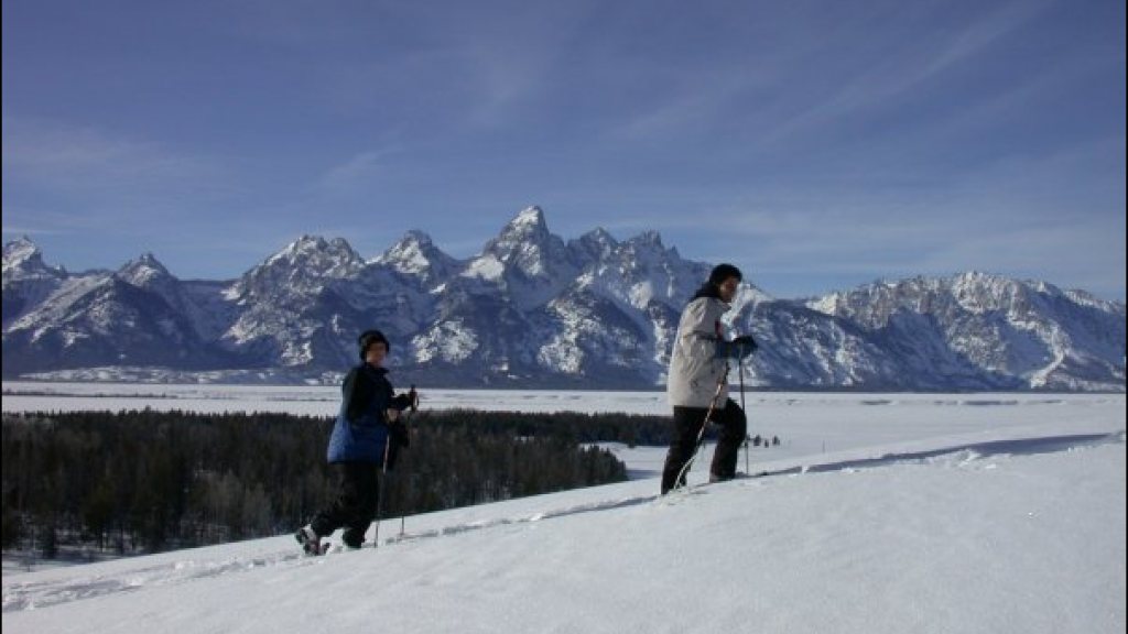 Snowshoeing