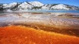 Snowcoach Tours of Yellowstone & Grand Teton