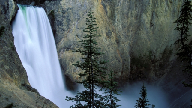 How Far is Yellowstone from Jackson?
