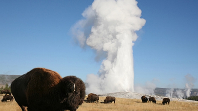Old Faithful