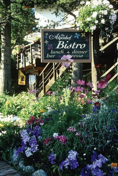 The Bistro