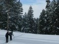 Hole Hiking Experience - Cross Country Skiing