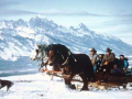 Spring Creek Ranch Dinner Sleigh Rides