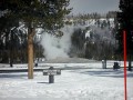 Old Faithful 