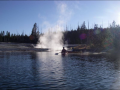 Geyser Kayak Tours