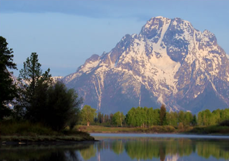 Rocky Mountain Guided Wildlife Tours