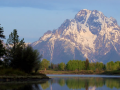Rocky Mountain Guided Wildlife Tours