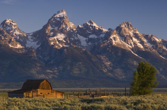 Jackson Hole Hotels