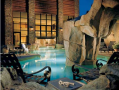 Indoor/Outdoor Pool