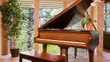 Baby Grand