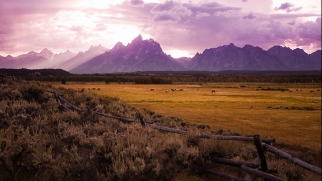 Jackson Hole Car Rental