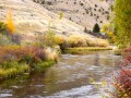 Backyard views of flat creek
