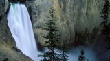 Yellowstone falls