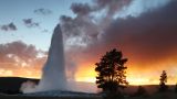 Old faithful sunset