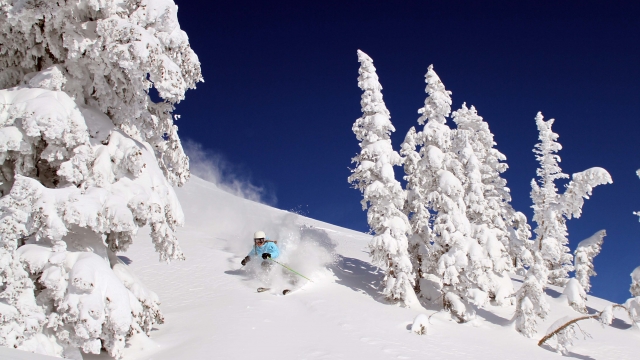 Jackson Hole Ski Vacations