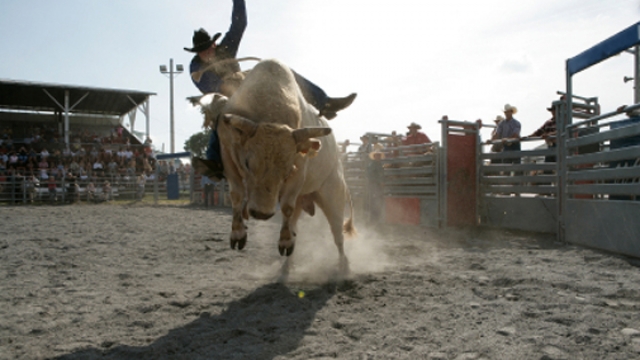 Jackson Hole Rodeo