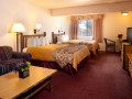 Studio Suite