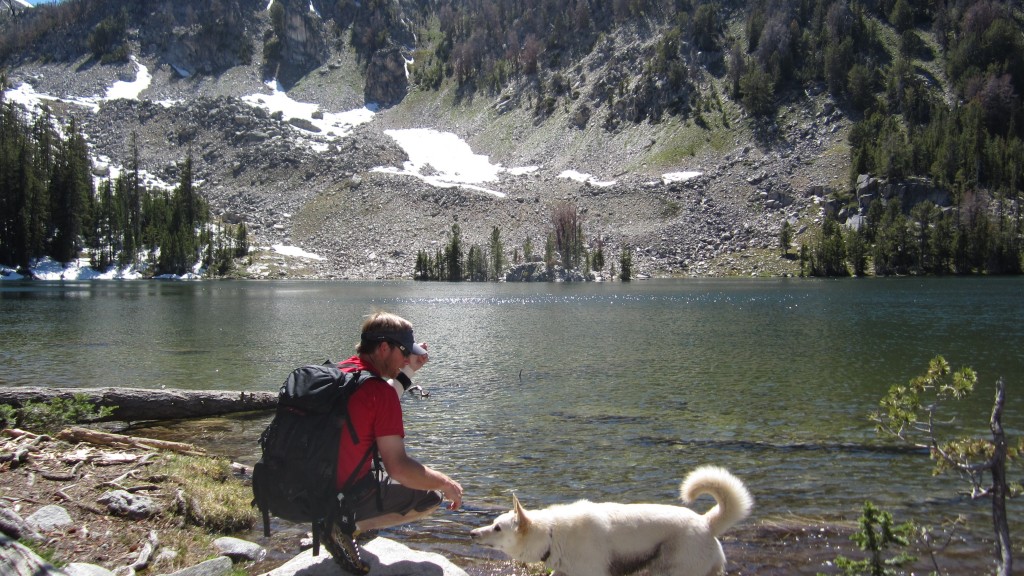 3 Dog Friendly Hikes Around Jackson Hole Jackson Hole WY Central Reservations